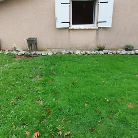 Grande Maison Sur 2000M° De Terrain Salies-de-Béarn Exterior foto