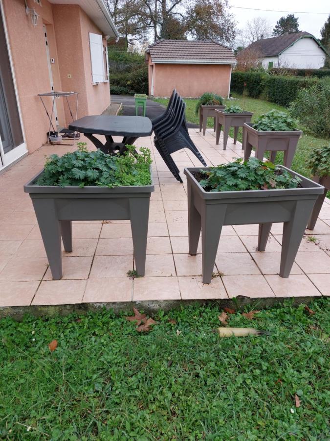 Apartment Grande Maison Sur 2000m° De Terrain Salies-de-Bearn